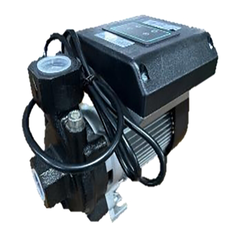 PFB 06-22 pro domestic water pressure booster pumps
